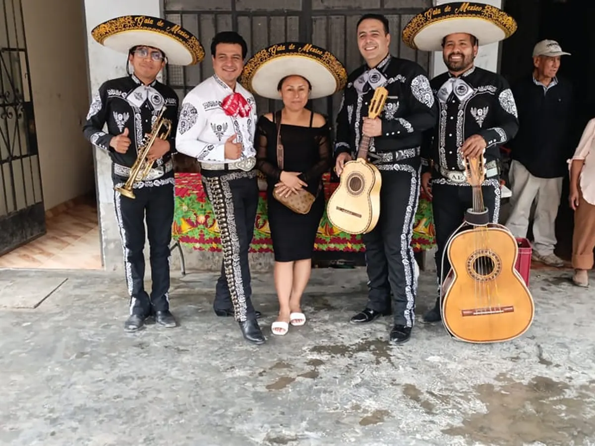 Espectáculo en Vivo